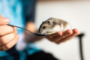 小さいから大きく稼げる