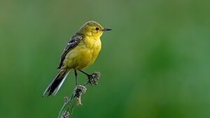 奇跡は、もう一回だけ試してみる人に訪れる